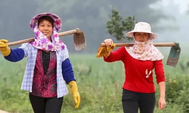 农村妇女每天做什么好赚钱（农村妇女创业项目推荐）